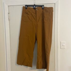 Anthropologie Plus Size tan wide leg pants